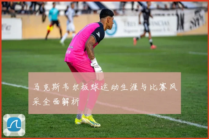 马克斯韦尔板球运动生涯与比赛风采全面解析