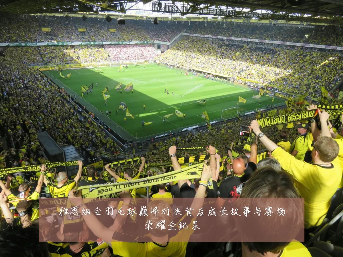 雅思组合羽毛球巅峰对决背后成长故事与赛场荣耀全纪录
