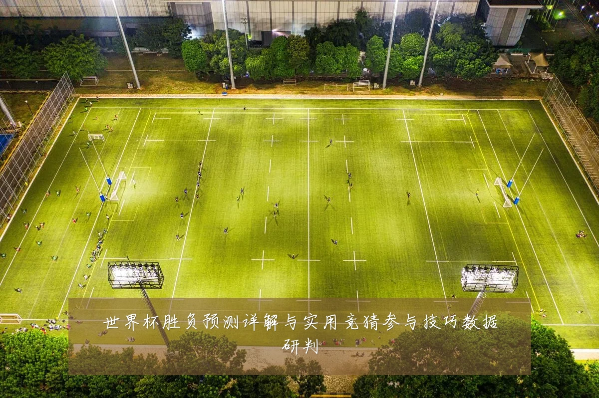 世界杯胜负预测详解与实用竞猜参与技巧数据研判