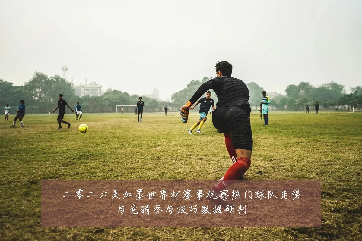 二零二六美加墨世界杯赛事观察热门球队走势与竞猜参与技巧数据研判